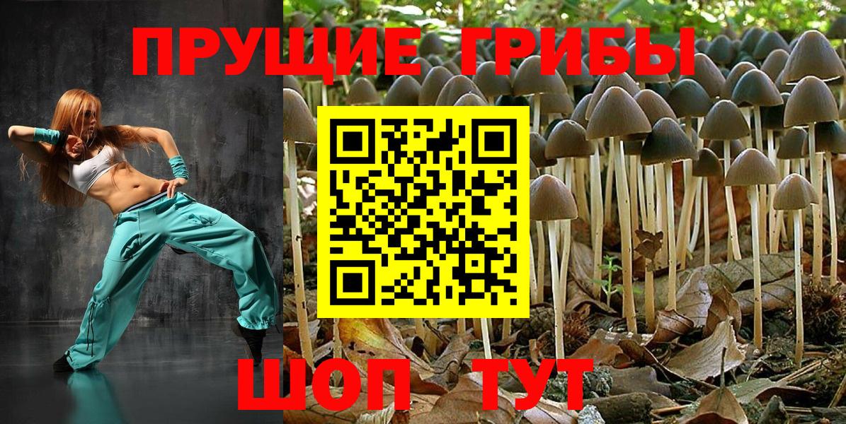 Галлюциногенные грибы Cubensis Кандалакша